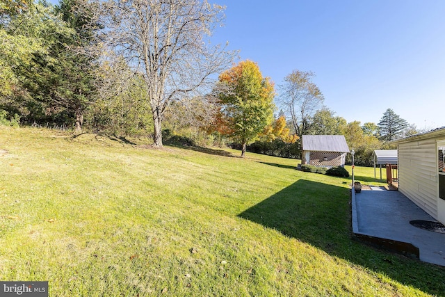 view of yard with a storage shed