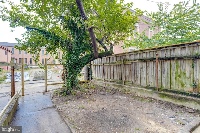 view of yard featuring a patio area