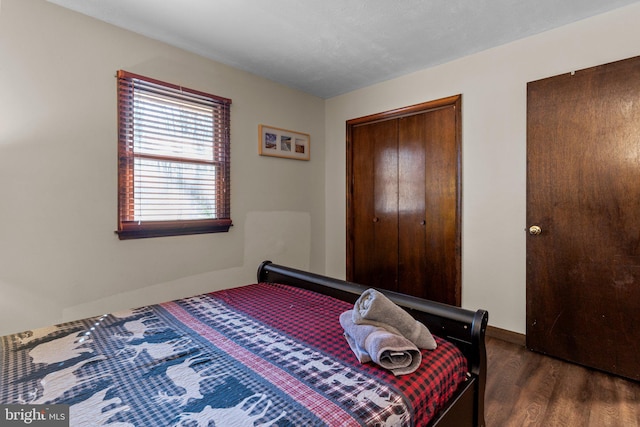 bedroom featuring dark wood-type flooring and a closet