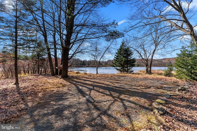 view of yard featuring a water view