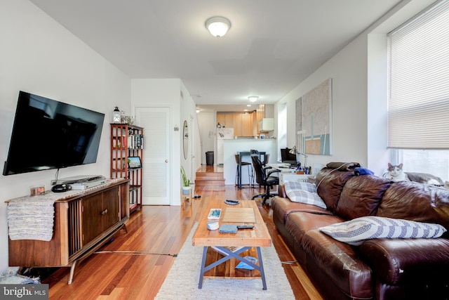 living room with light wood-type flooring