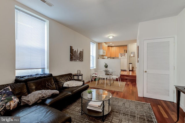 living room featuring dark wood-type flooring