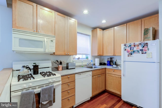 kitchen featuring light brown cabinetry, dark wood-type flooring, sink, and white appliances