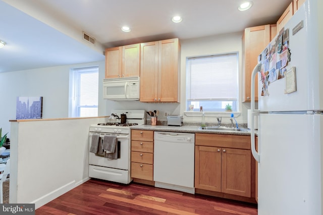 kitchen with dark hardwood / wood-style flooring, a wealth of natural light, sink, and white appliances