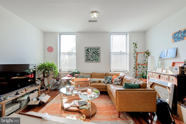 living room with light hardwood / wood-style flooring and plenty of natural light