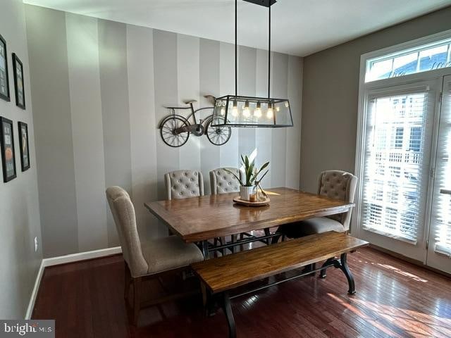 dining area featuring dark wood-type flooring