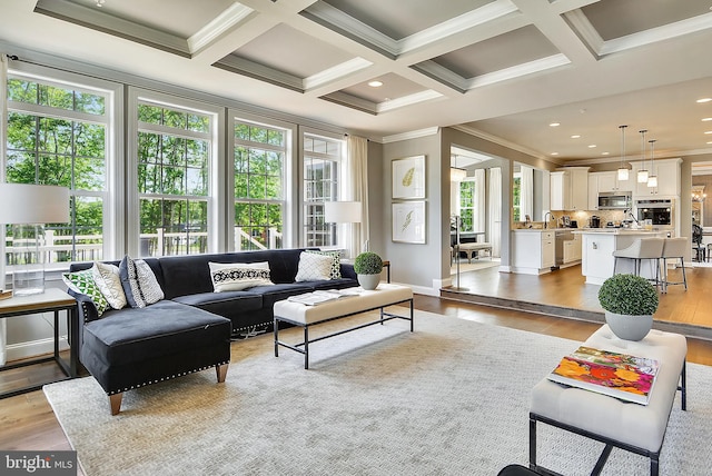 living room with ornamental molding, light wood-type flooring, and a wealth of natural light