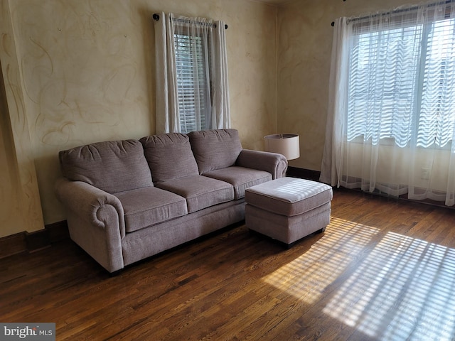 living room featuring dark wood-type flooring