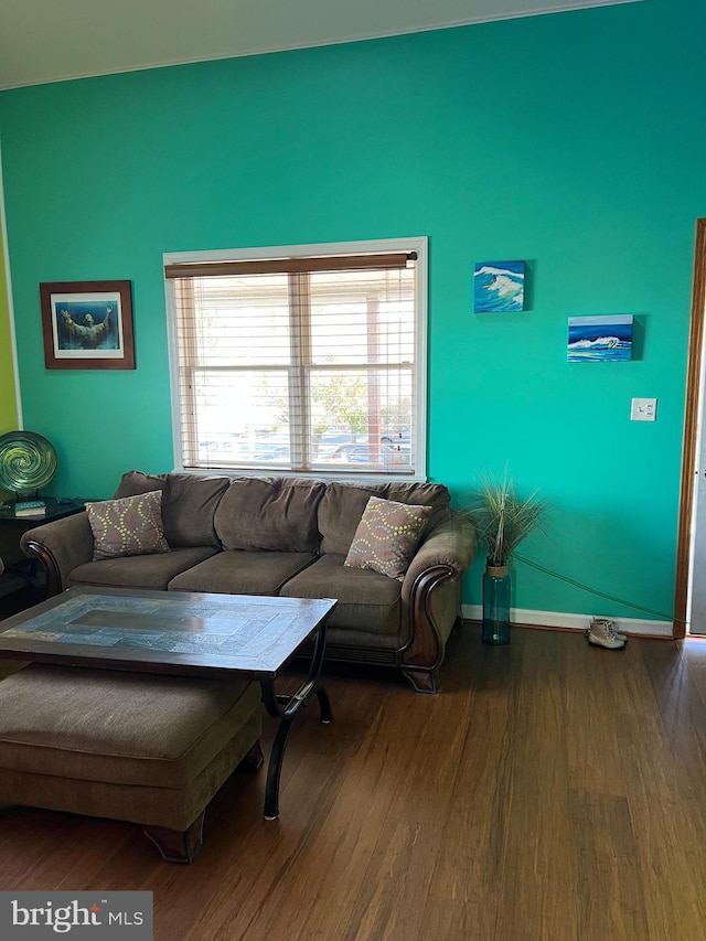 living room with wood-type flooring