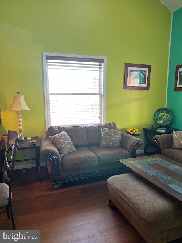 living room featuring hardwood / wood-style floors