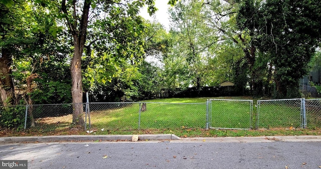 607 62nd Ave, Fairmount Heights, MD 20743 - view of yard with a gate and fence