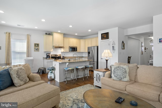 living room featuring sink and dark hardwood / wood-style floors