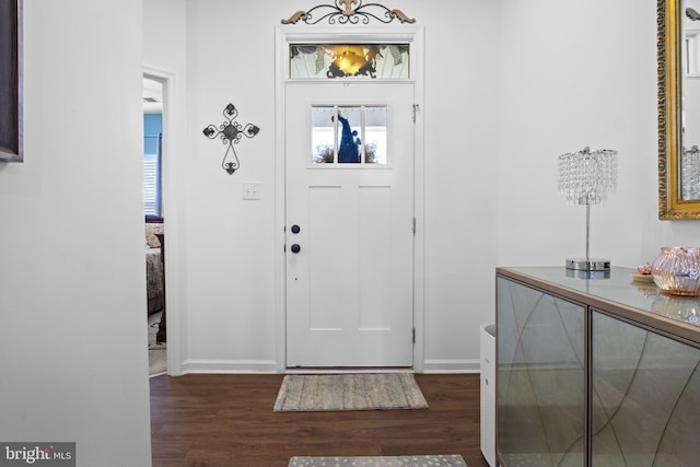 entrance foyer with dark hardwood / wood-style flooring