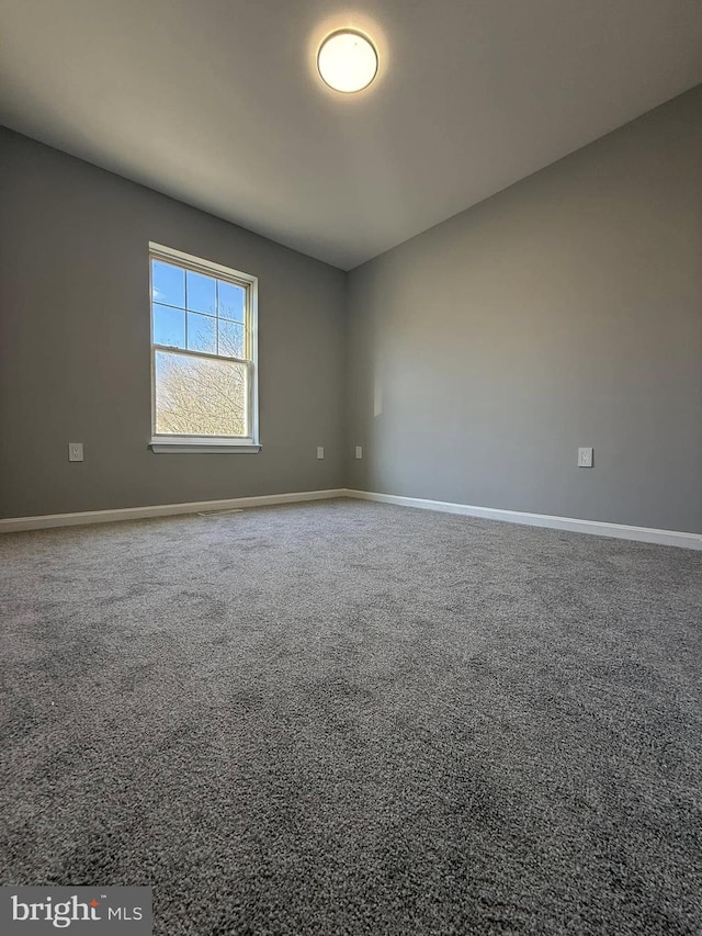 spare room featuring carpet