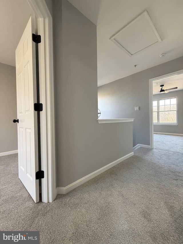 hallway featuring carpet flooring