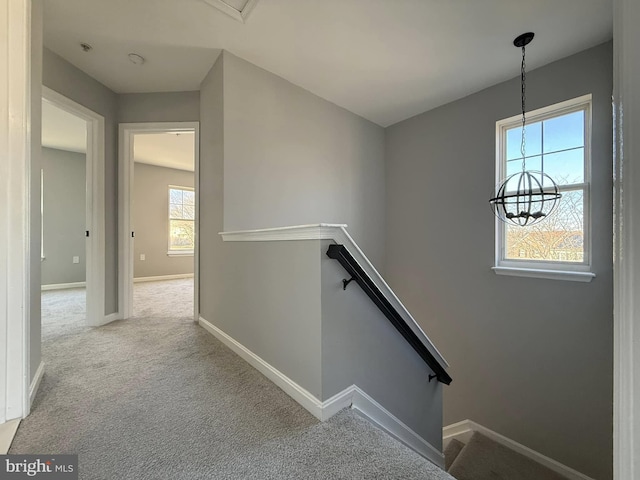 stairs featuring a chandelier, carpet floors, and a healthy amount of sunlight