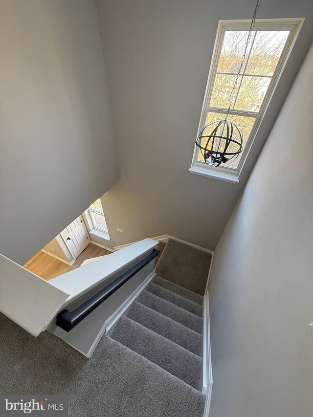 stairway with carpet