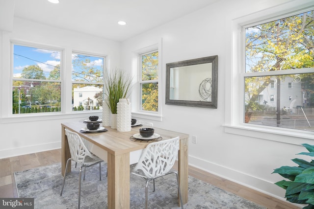 dining area featuring hardwood / wood-style floors