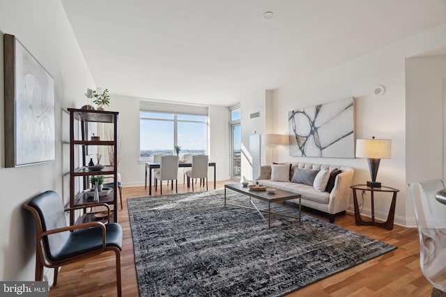 living room featuring hardwood / wood-style floors