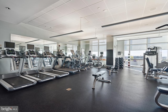 gym featuring a paneled ceiling and floor to ceiling windows