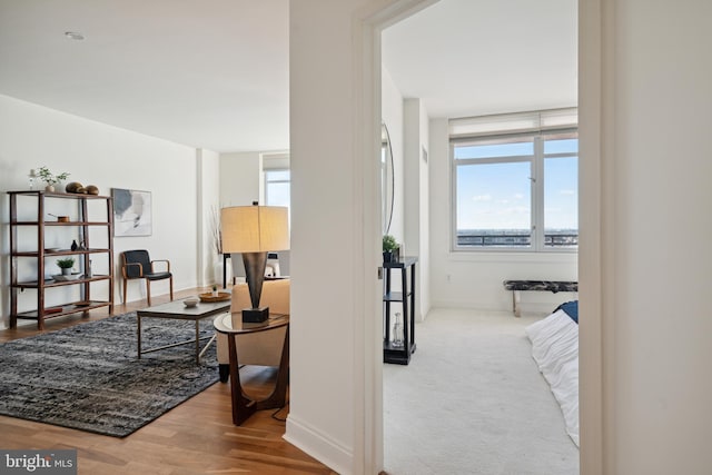 living room featuring hardwood / wood-style floors