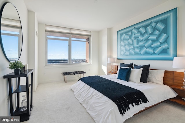 bedroom with carpet floors