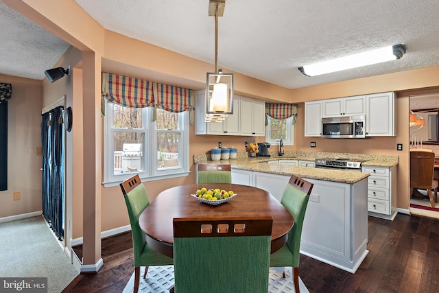 kitchen with appliances with stainless steel finishes, dark hardwood / wood-style flooring, a textured ceiling, and hanging light fixtures