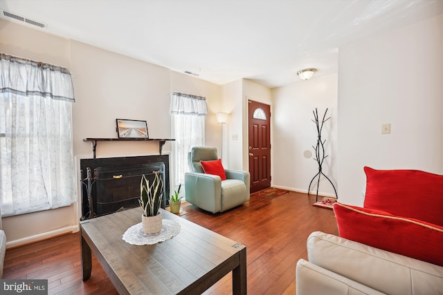 living room featuring wood-type flooring