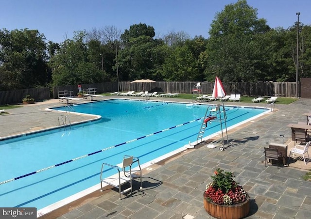 view of pool featuring a diving board and a patio area