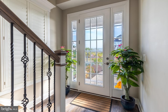 doorway to outside featuring dark hardwood / wood-style flooring and a healthy amount of sunlight