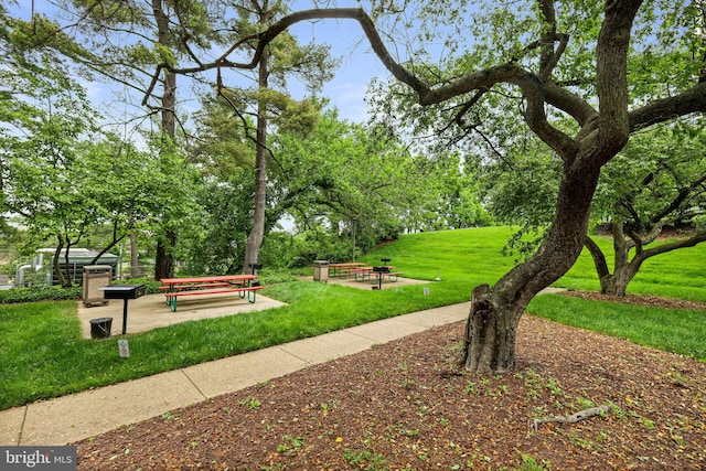 surrounding community featuring a lawn