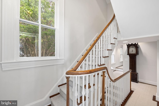 stairs with a wealth of natural light and carpet floors