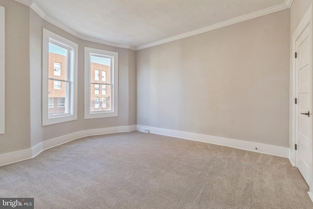 carpeted spare room with crown molding and a textured ceiling