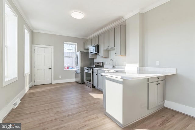 kitchen with gray cabinets, light hardwood / wood-style flooring, and stainless steel appliances