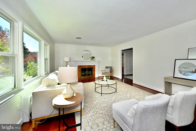 living room featuring wood-type flooring and ornamental molding