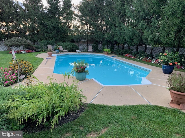 view of pool featuring a patio and a yard