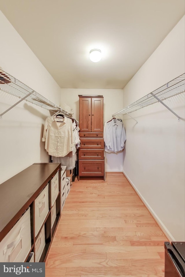 walk in closet with light hardwood / wood-style flooring