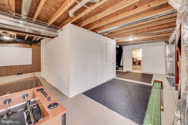 basement with wooden walls