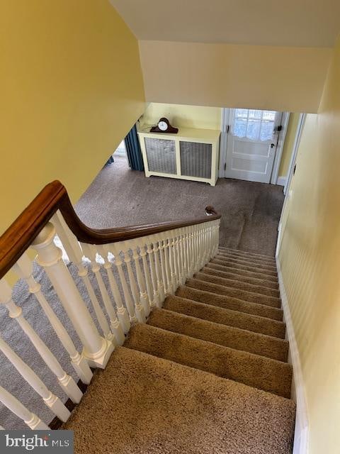 stairs featuring carpet floors