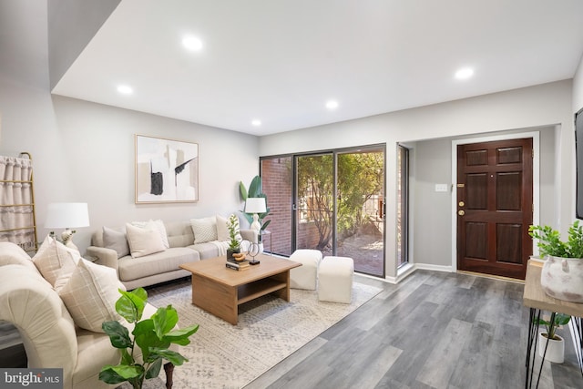 living room with hardwood / wood-style floors