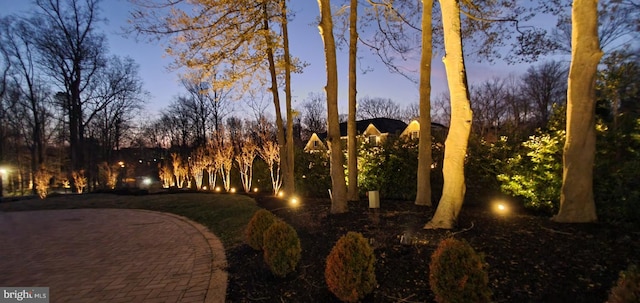 view of yard at dusk