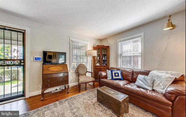 living room featuring a wealth of natural light and wood-type flooring