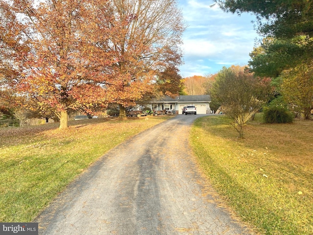 view of front of home featuring a front yard