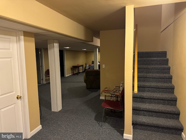 staircase featuring carpet floors