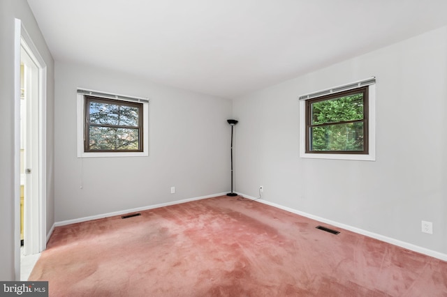 carpeted empty room with a healthy amount of sunlight