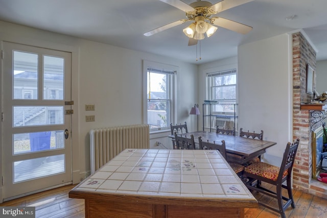 dining room featuring radiator, ceiling fan, light hardwood / wood-style floors, and a fireplace