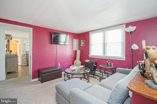 living room with carpet flooring and electric panel