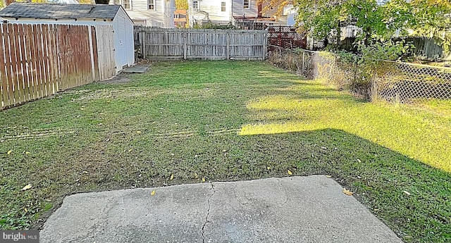 view of yard featuring a patio