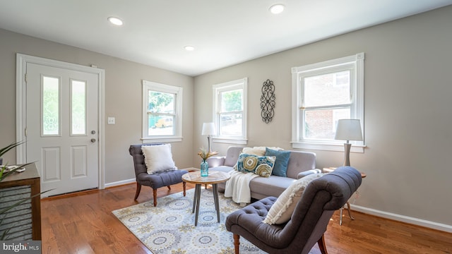 living room with wood-type flooring