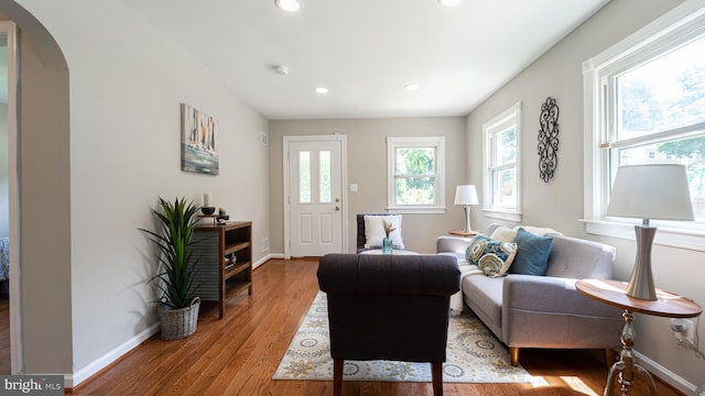 living room with wood-type flooring